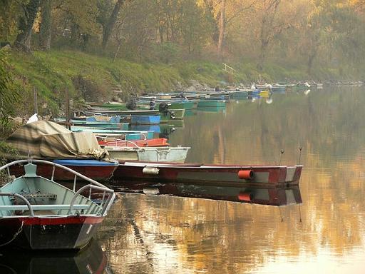 adda (75).jpg